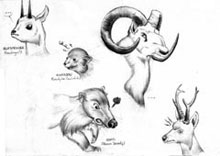 Croquis animaux 1