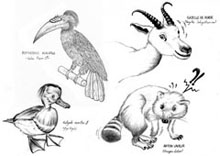 Croquis animaux 2